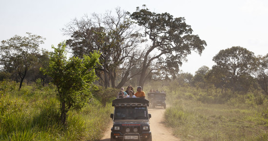 Sri Lanka Safari